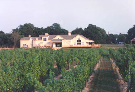 vineyards4